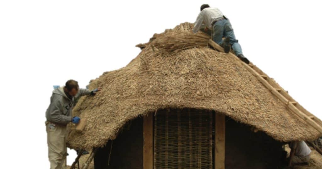 Museum of London Bronze Age Roundhouse Quiz Teaching Resource Profile Image