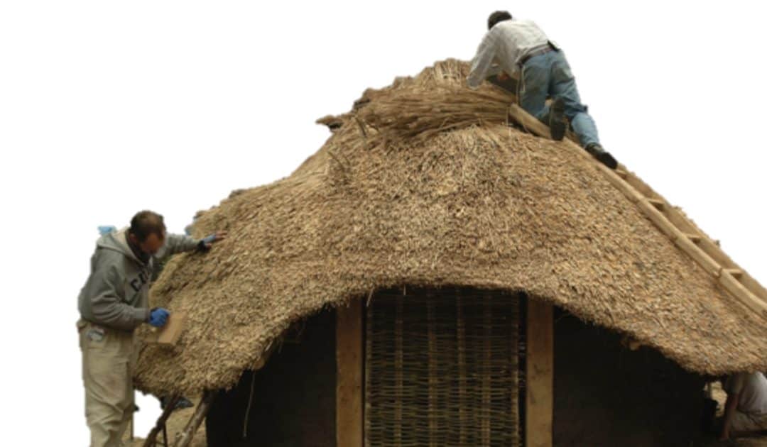 Museum of London’s Bronze Age Roundhouse Quiz