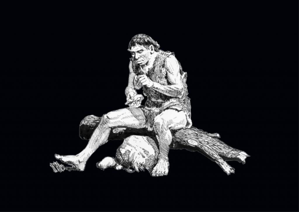 Museum of London Hunter-Gatherer Quiz Teaching Resource Profile Image