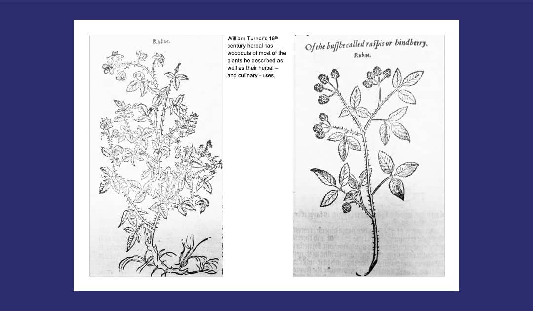 Bath Record Office Colouring Books: Miscellaneous