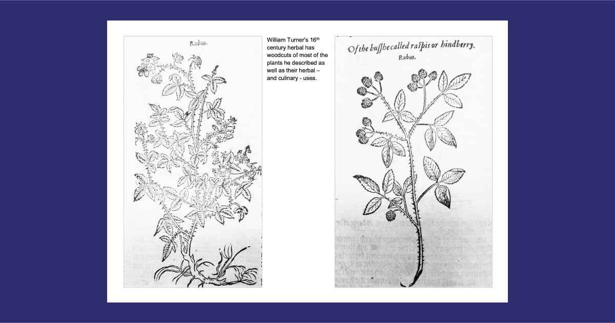 Bath Record Office Colouring Books – Miscellaneous Resource