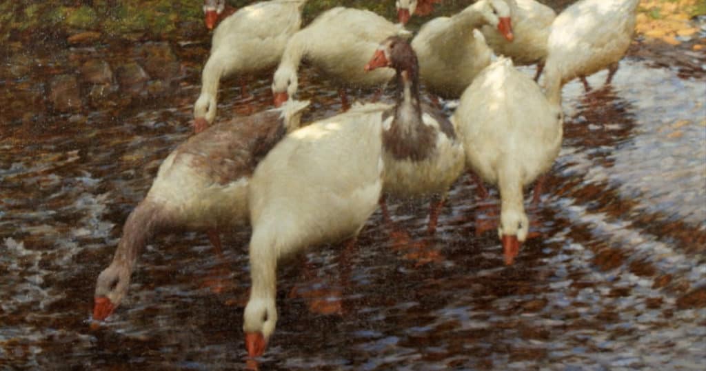 Victoria Art Gallery’s Jigsaw Puzzles – Animals Resource