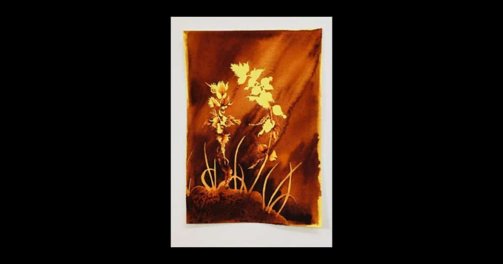 The New Art Gallery Walsalls Pigments in Watercolour Educational Video Social Image