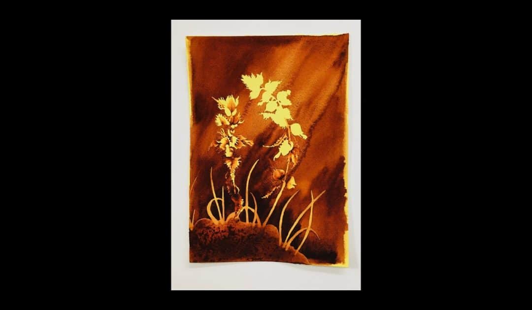 The New Art Gallery Walsall’s Pigments in Watercolour Educational Video