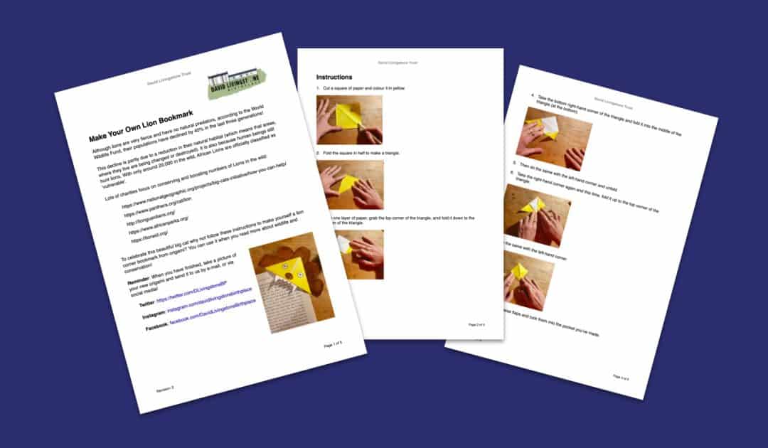 David Livingstone Birthplace’s Origami Lion Resource