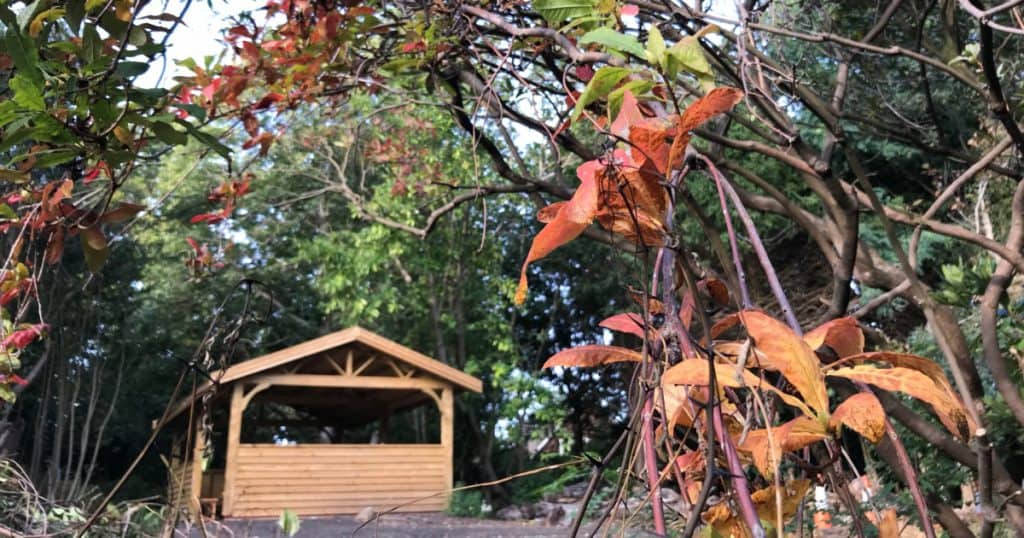MHA The Wilderness Gardens Teaching Resources Social Image