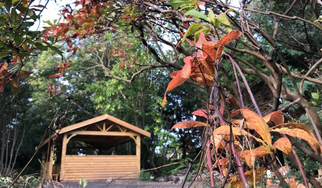 MHA The Wilderness Garden’s By Myself Teaching Resources