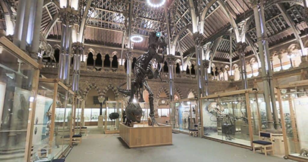 Oxford University Museum of Natural History Virtual Tour Social Image