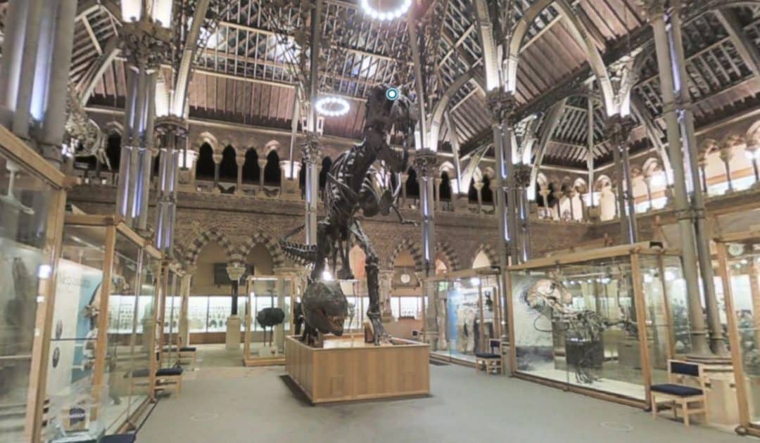 Oxford University Museum of Natural History’s Virtual Tour