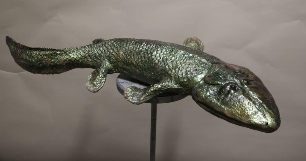 Oxford University Museum of Natural Historys Evolution Solution Online Lessons Social Image