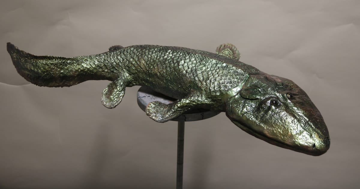Oxford University Museum of Natural History’s Evolution Solution Online Lessons Social Image Oxford University Museum of Natural Historys Evolution Solution Online Lessons Social Image
