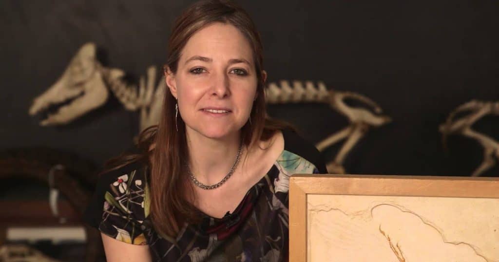 Oxford University Museum of Natural Historys Sensing Evolution Ancient Ancestors Video Resource Social Image