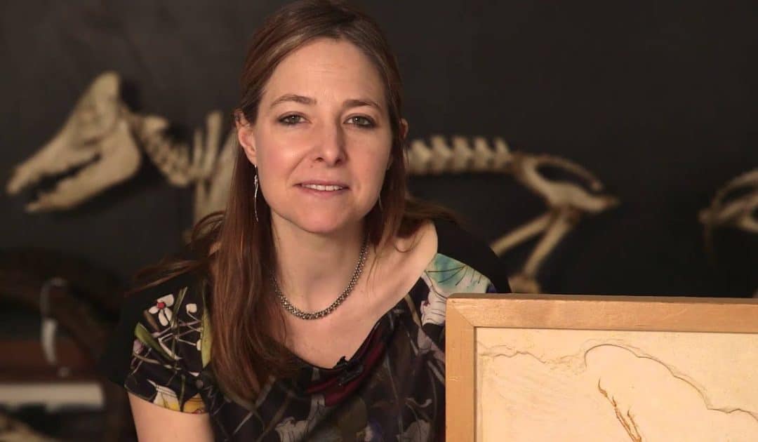 Oxford University Museum of Natural History’s Sensing Evolution: Ancient Ancestors Video