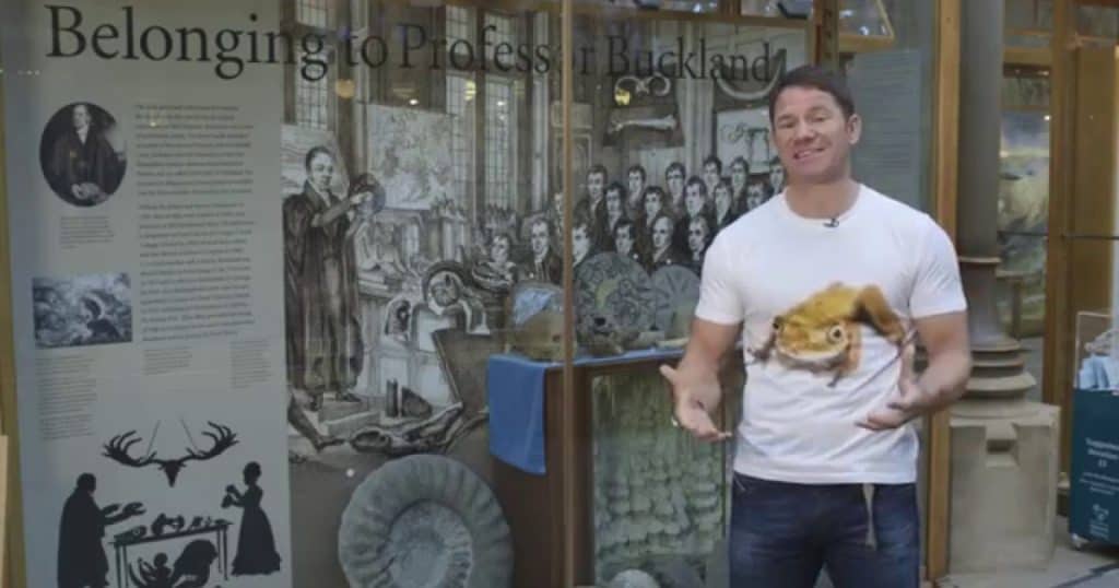 Oxford University Museum of Natural Historys Sensing Evolution Changes Over Time Video Resource Social Image