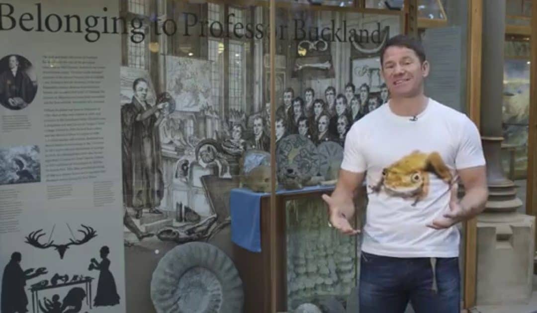 Oxford University Museum of Natural History’s Sensing Evolution: Changes Over Time Video