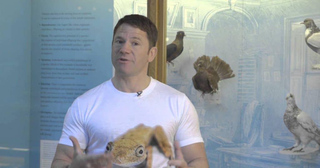 Oxford University Museum of Natural Historys Sensing Evolution Endless Variations Video Resource Social Image