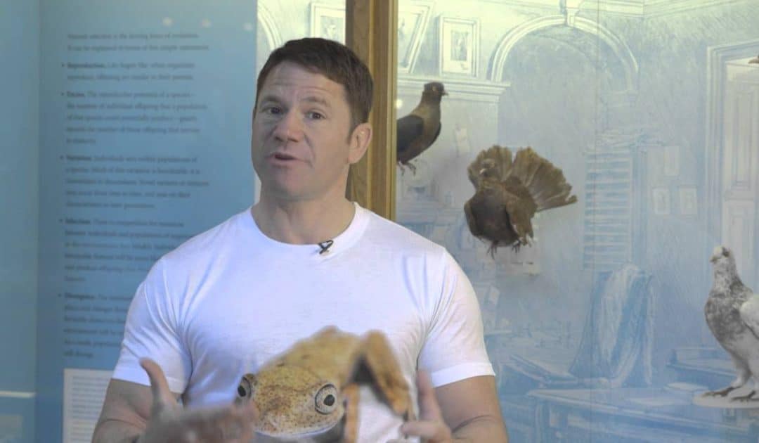 Oxford University Museum of Natural History’s Sensing Evolution: Endless Variations Video