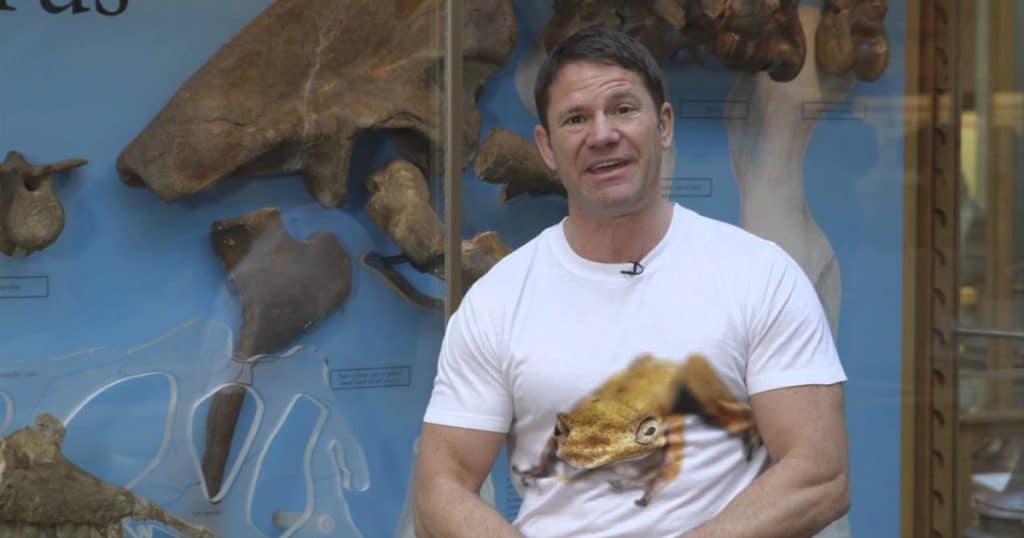 Oxford University Museum of Natural Historys Sensing Evolution Fossil Evidence Video Resource Social Image