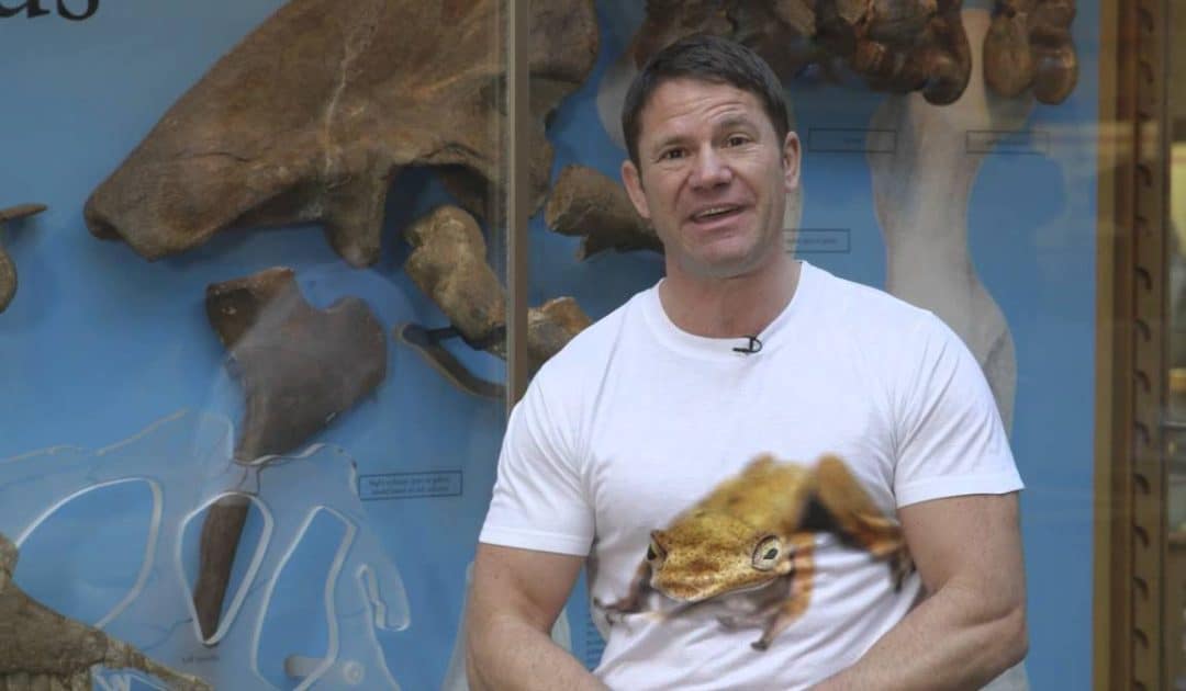 Oxford University Museum of Natural History’s Sensing Evolution: Fossil Evidence Video