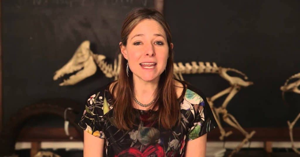 Oxford University Museum of Natural Historys Sensing Evolution Reproduction Video Resource Social Image