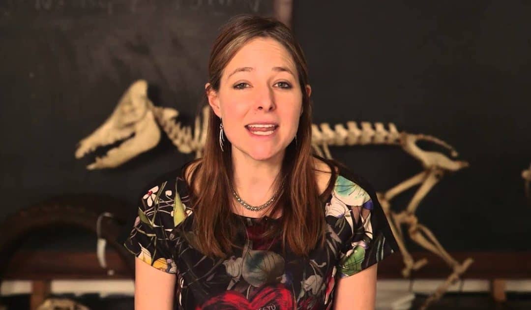 Oxford University Museum of Natural History’s Sensing Evolution: Reproduction Video