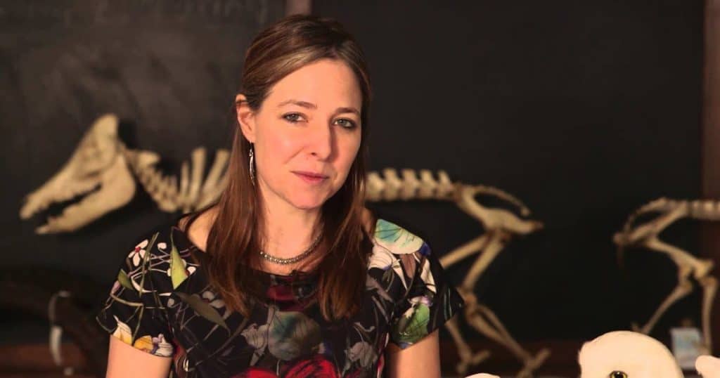 Oxford University Museum of Natural Historys Sensing Evolution Selection in Action Video Resource Social Image