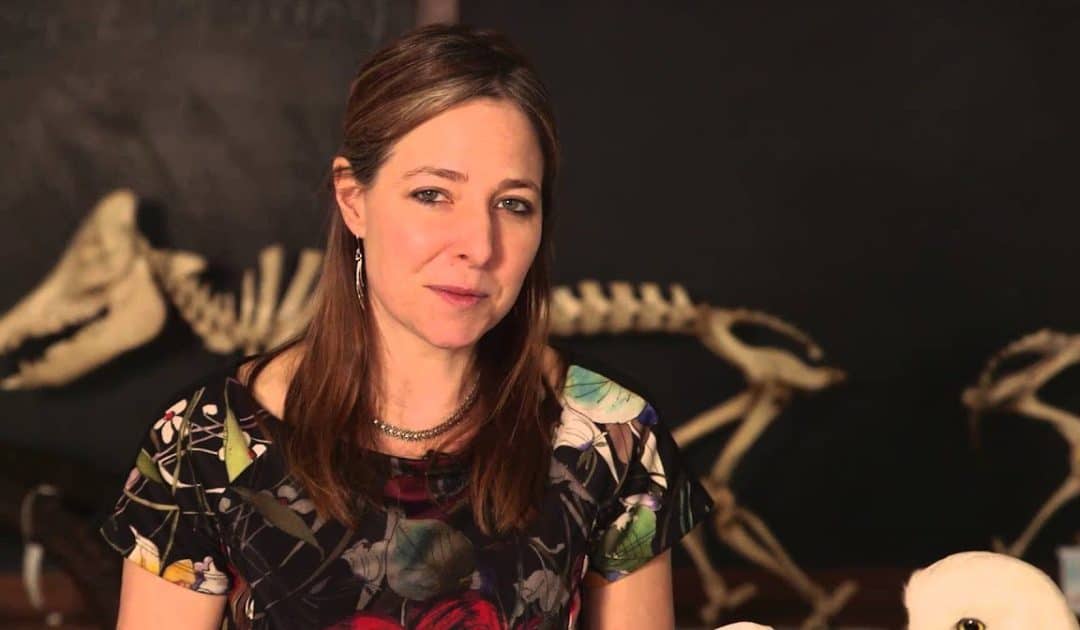 Oxford University Museum of Natural History’s Sensing Evolution: Selection in Action Video