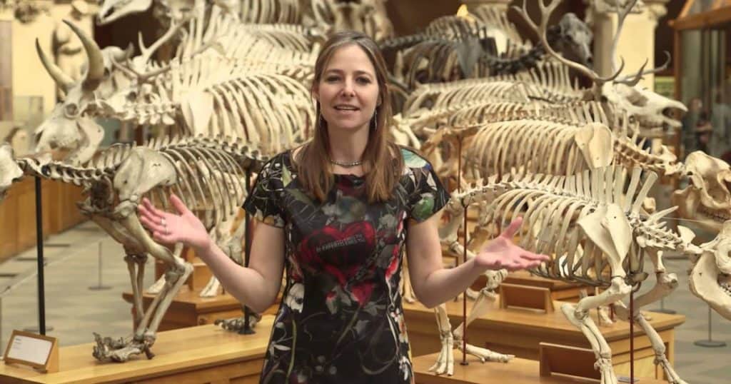 Oxford University Museum of Natural Historys Sensing Evolution Investigate Alice Roberts Introduction Video Resource Social Image