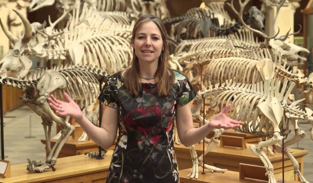 Oxford University Museum of Natural History’s Sensing Evolution: Investigate – Alice Roberts Introduction Video