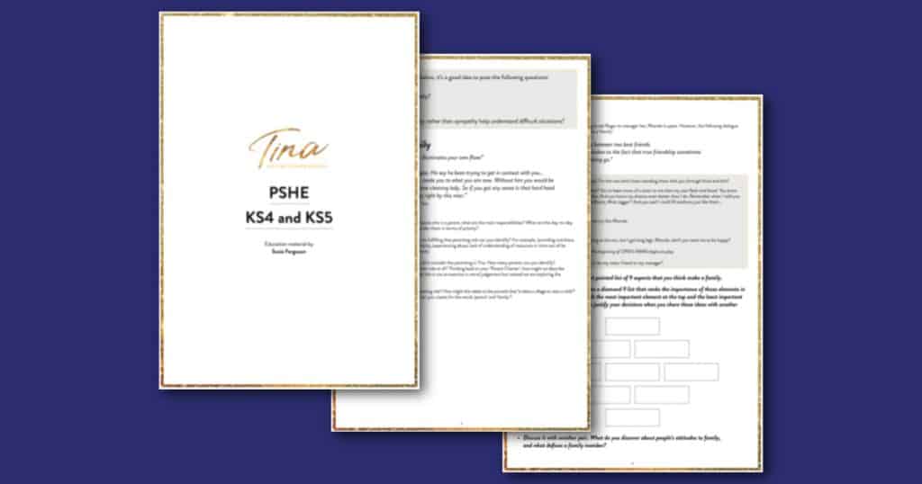 TINA The Tina Turner Musicals KS4 KS5 PSHE Education Pack Social Image