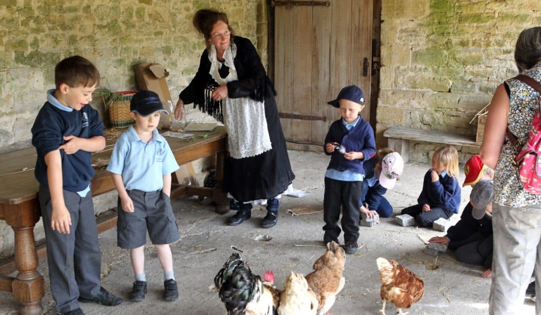 Cogges Manor Farm’s Farming for Food (Full Day) Workshop