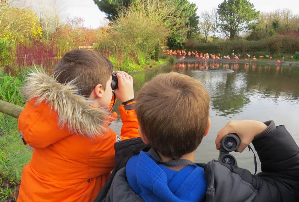 WWT Llanelli Wetland Centre