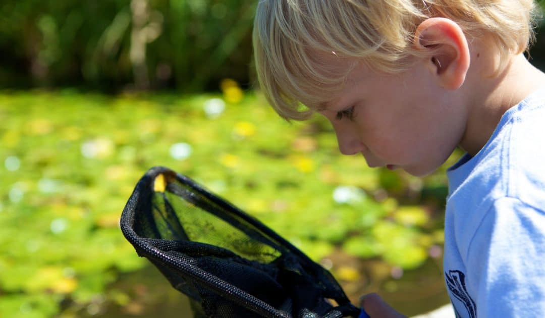 WWT Martin Mere’s Plastic Planet Workshop