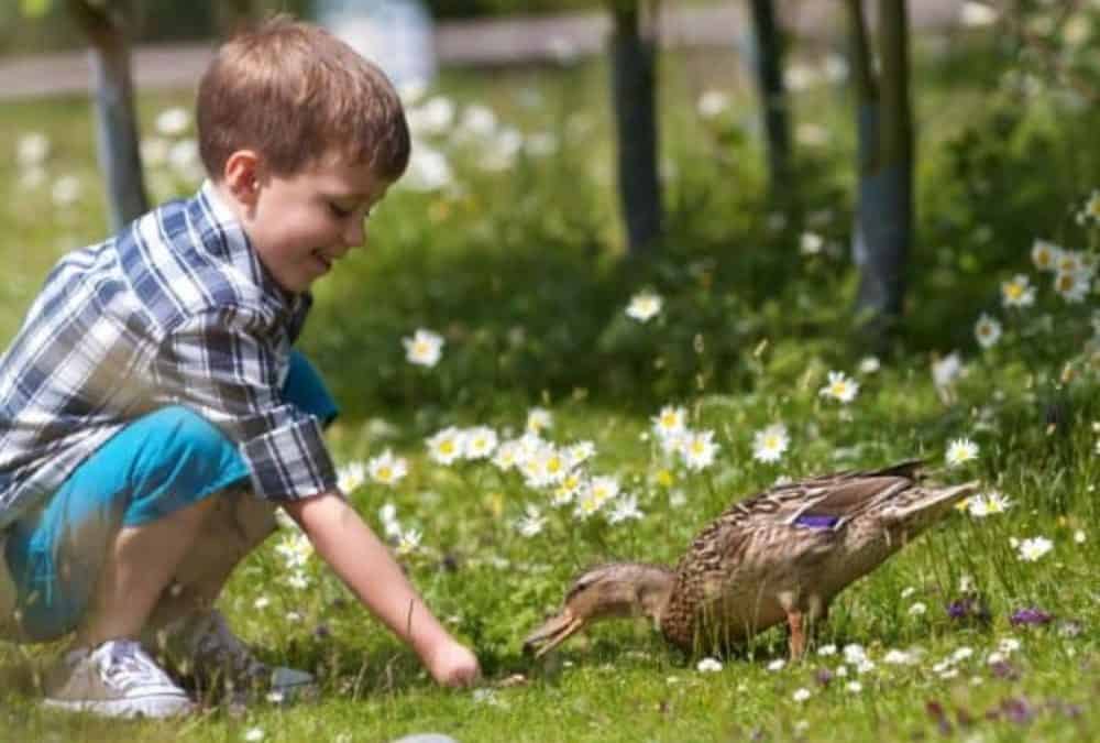 WWT Martin Mere Wetland Centre