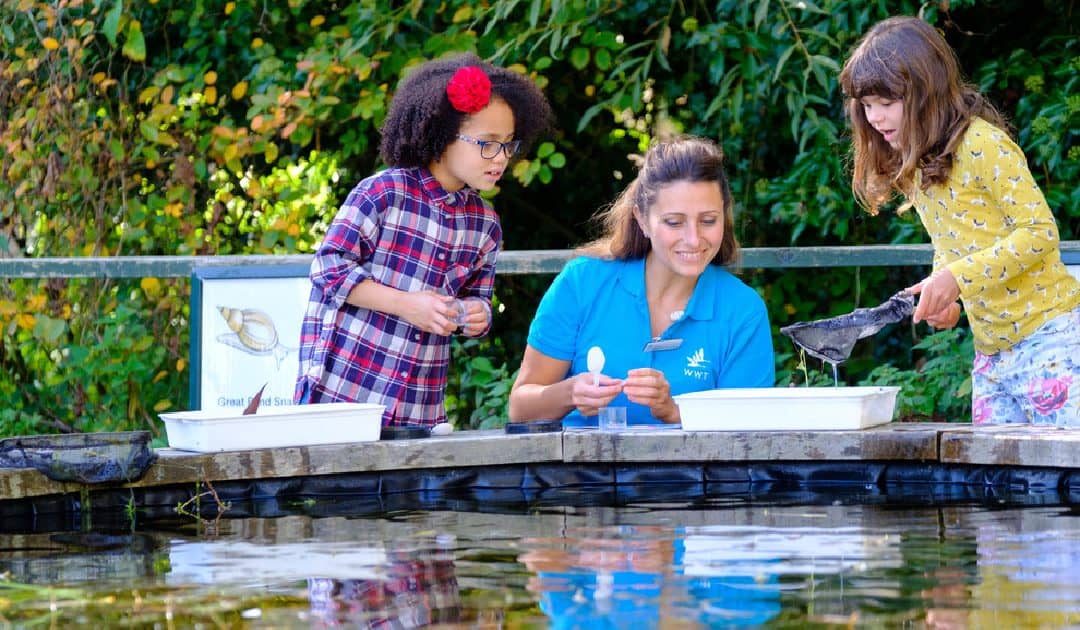 WWT Slimbridge’s Plastic Planet Workshop