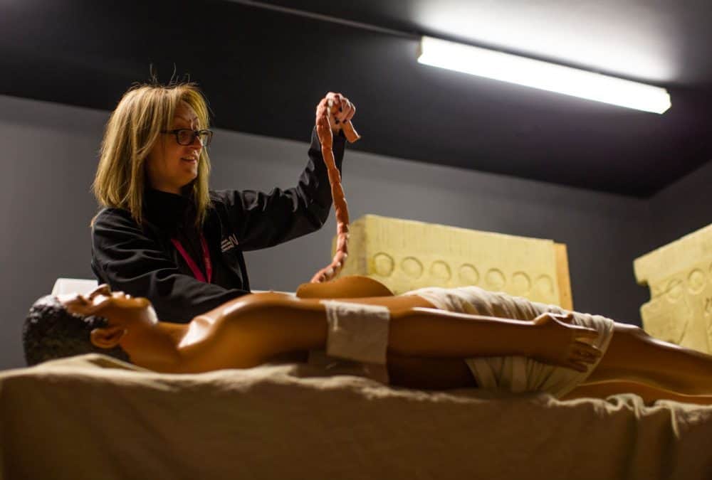 Your Ultimate Guide To Online History Workshops