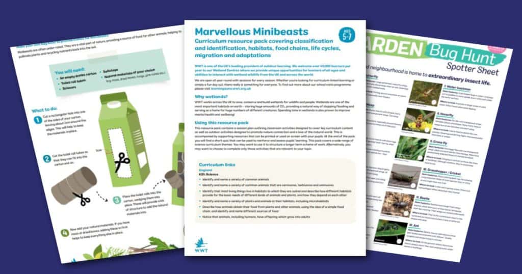 WWT Marvellous Minibeasts Social 1200 x 630