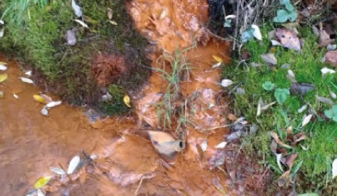 A Welsh Coal Mining Experience’s The Environment Tamroad Walk for Schools