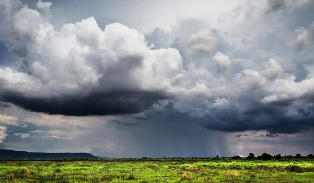 WWT’s Ecosystems and Environmental Change Resources