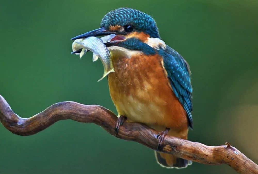 Your Ultimate Guide To Biology Workshops