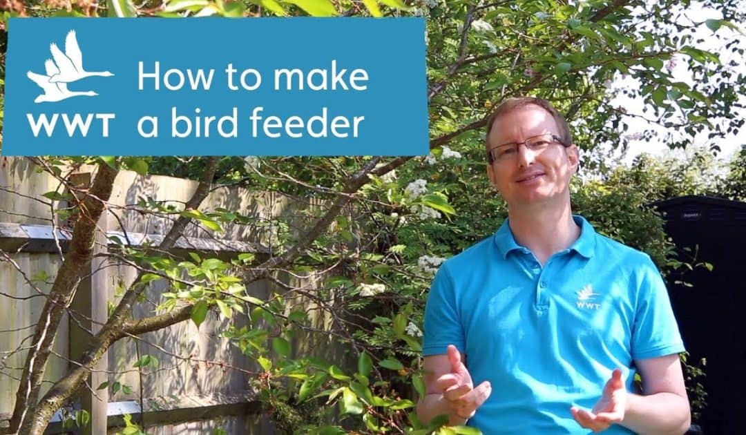 WWT’s Make Your Own Bird Feeder Activity Resources