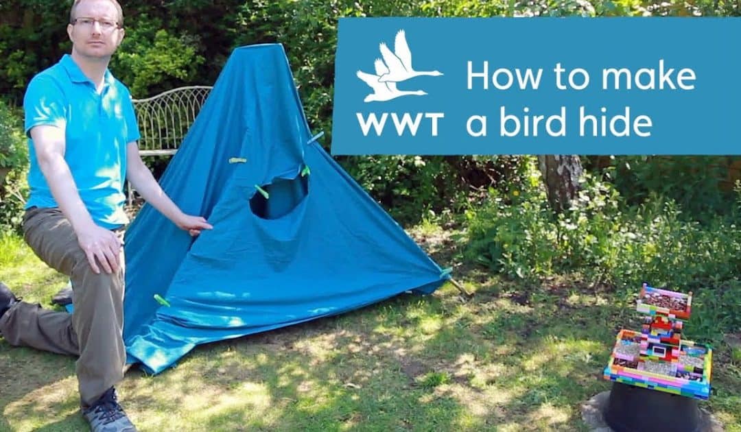 WWT’s Make Your Own Bird Hide Activity Resources