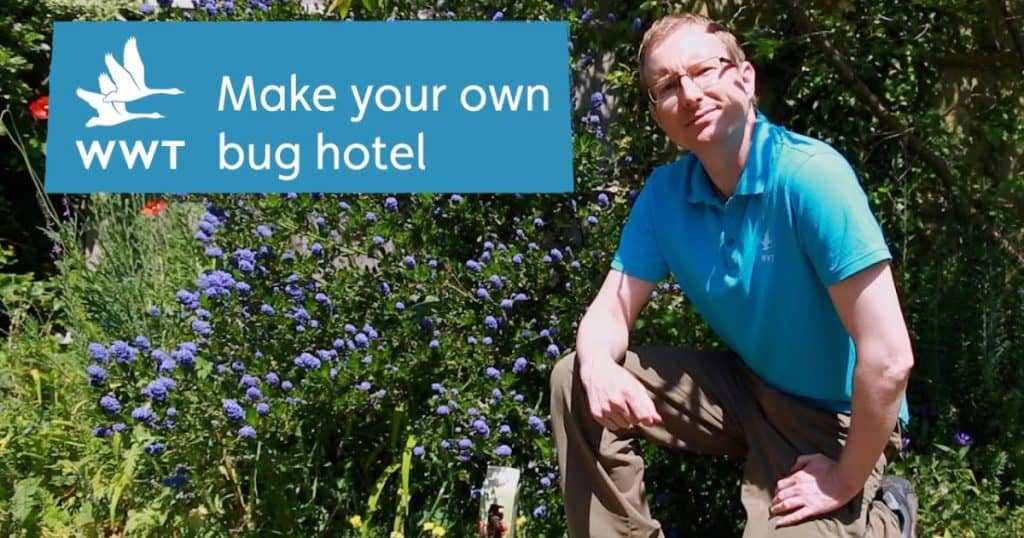 WWT Make it Activities Bug Hotel Social 1200 x 630