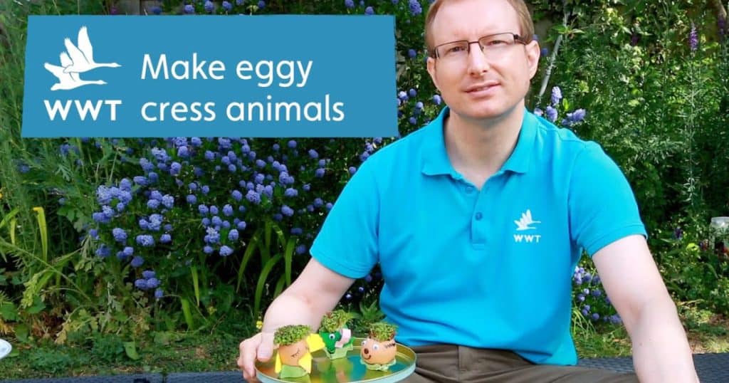 WWT Make it Activities Eggy Cress Animals Social 1200 x 630