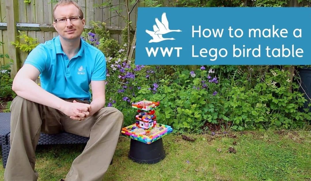 WWT’s Make Your Own Lego Bird Table Activity Resources