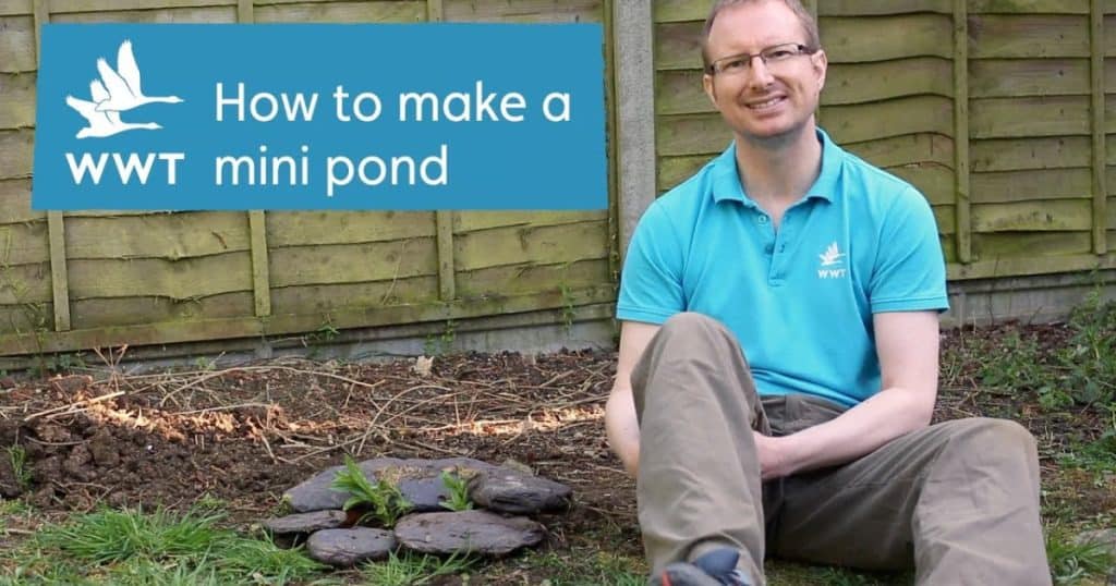 WWT Make it Activities Mini Pond Social 1200 x 630