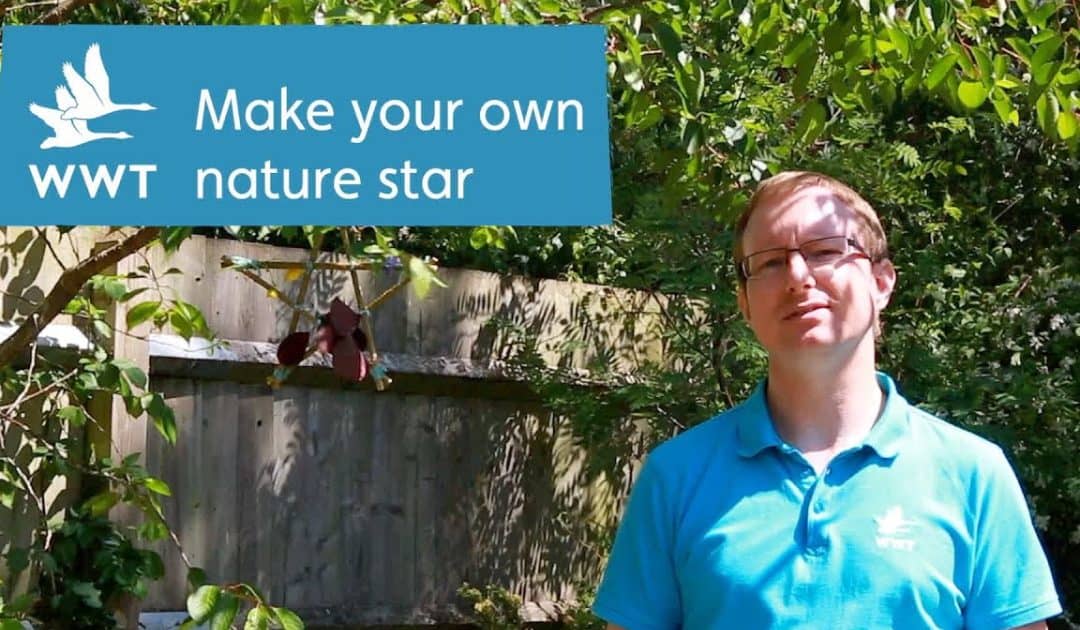 WWT’s Make Your Own Nature Star Activity Resources