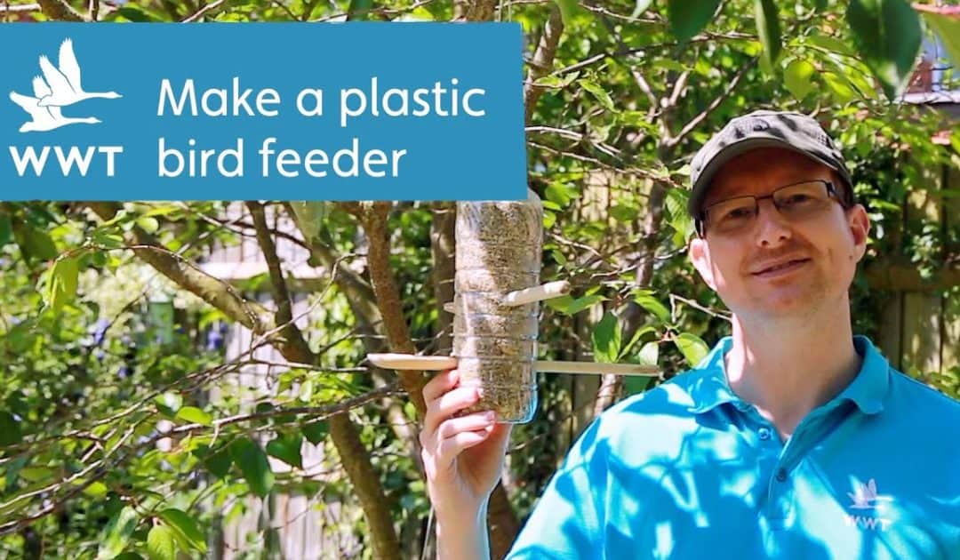 WWT’s Make Your Own Plastic Bottle Bird Feeder Activity Resources