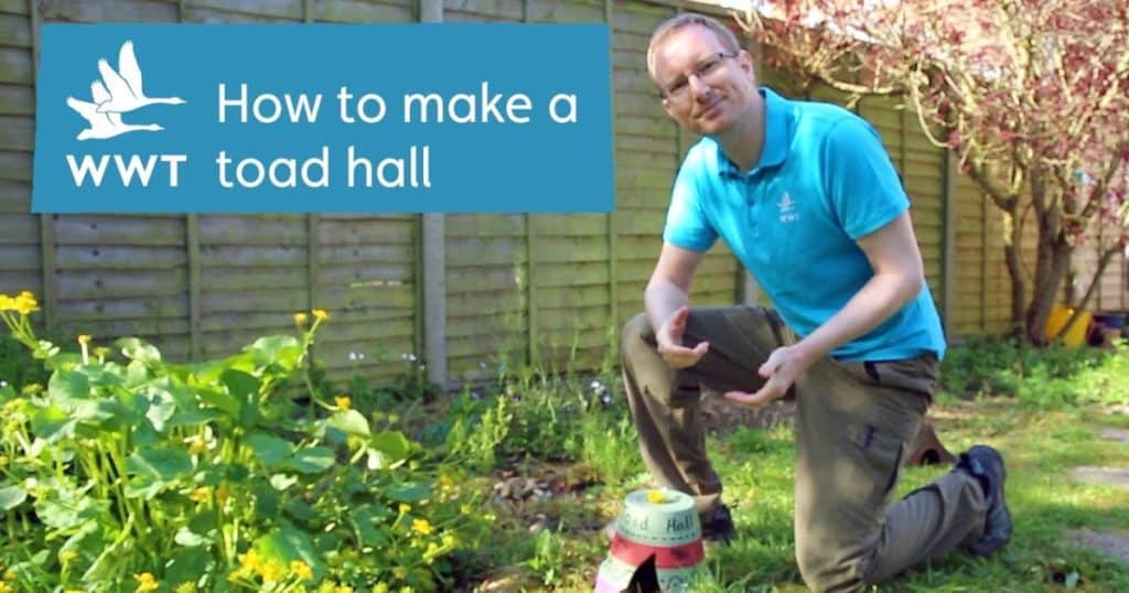 WWT Make it Activities Toad Hall Social 1200 x 630