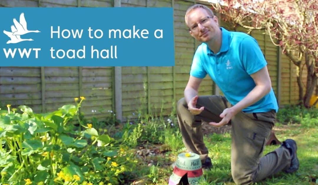WWT’s Make Your Own Toad Hall Activity Resources
